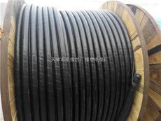 天津市電纜總廠橡塑電纜廠控制電纜產品展示